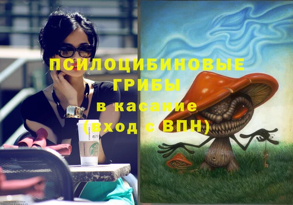 ГАЛЛЮЦИНОГЕННЫЕ ГРИБЫ Алзамай