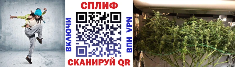 Шишки марихуана конопля Тутаев